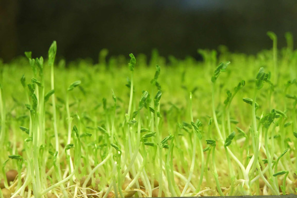 <a href='http://m.lffwp.cn' target='_blank'><u>健康管理師考試</u></a>時(shí)間